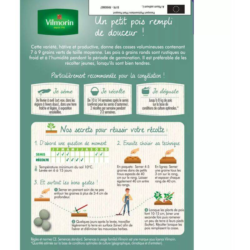 Vilmorin - Pois Douce Provence série 20m sachet graines 246 g - Vilmorin - Image 3