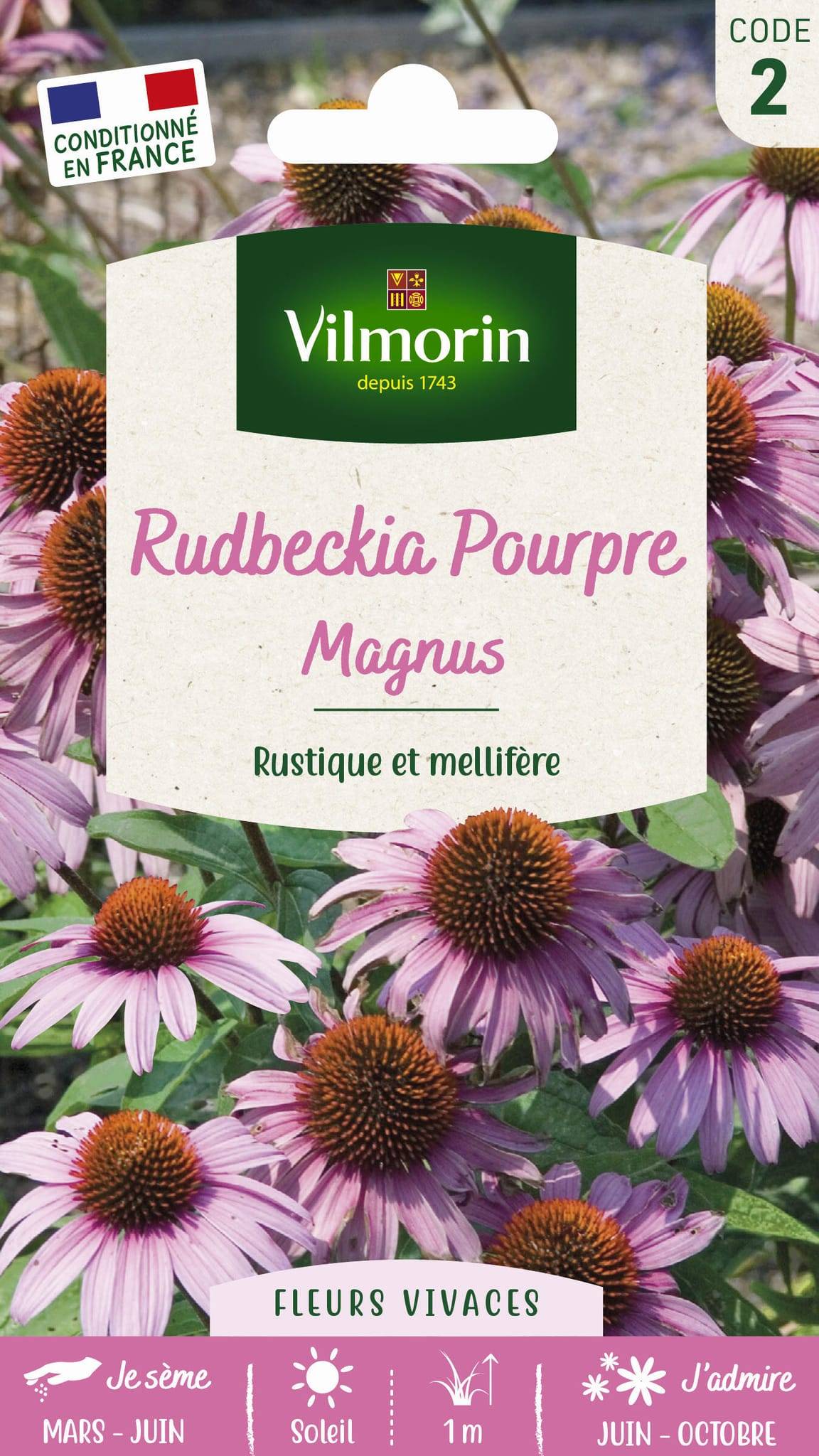 Vilmorin - Rudbeckia echinacea pourpre Magnus série 2 sachet graines 1 g - Vilmorin - Image 1