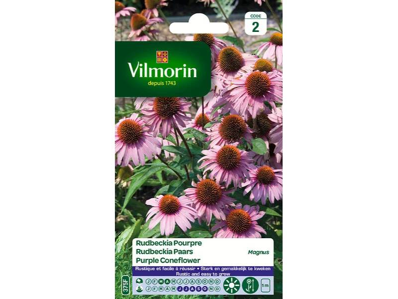 Vilmorin - Rudbeckia echinacea pourpre Magnus série 2 sachet graines 1 g - Vilmorin - Image 3