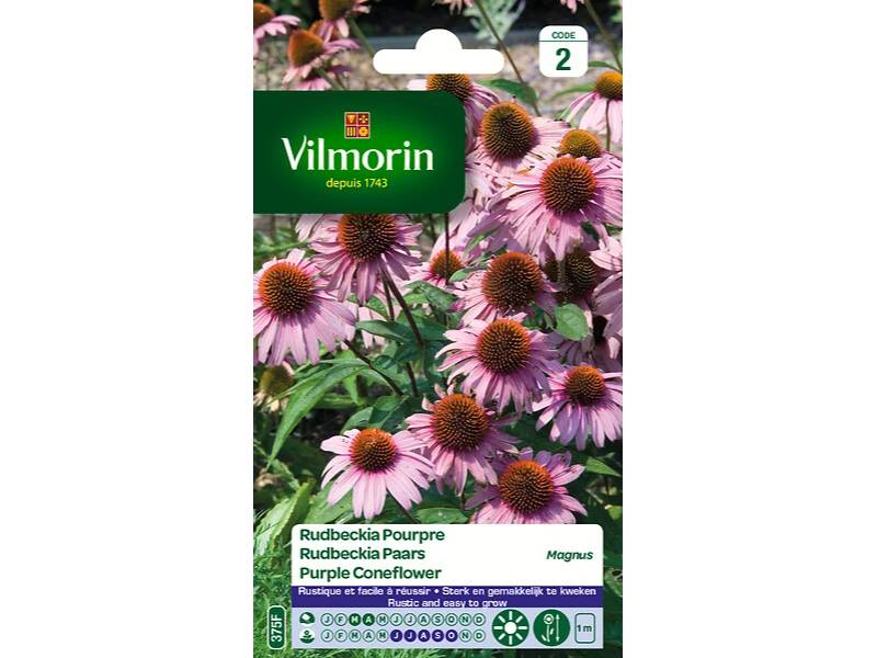 Vilmorin - Rudbeckia echinacea pourpre Magnus série 2 sachet graines 1 g - Vilmorin - Image 5