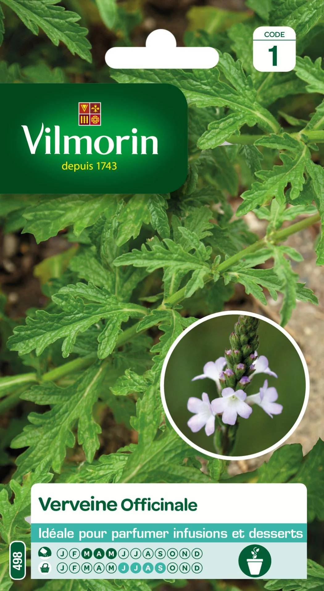 Vilmorin - Verveine officinale série 1 sachet graines 0,2 g - Vilmorin - Image 1