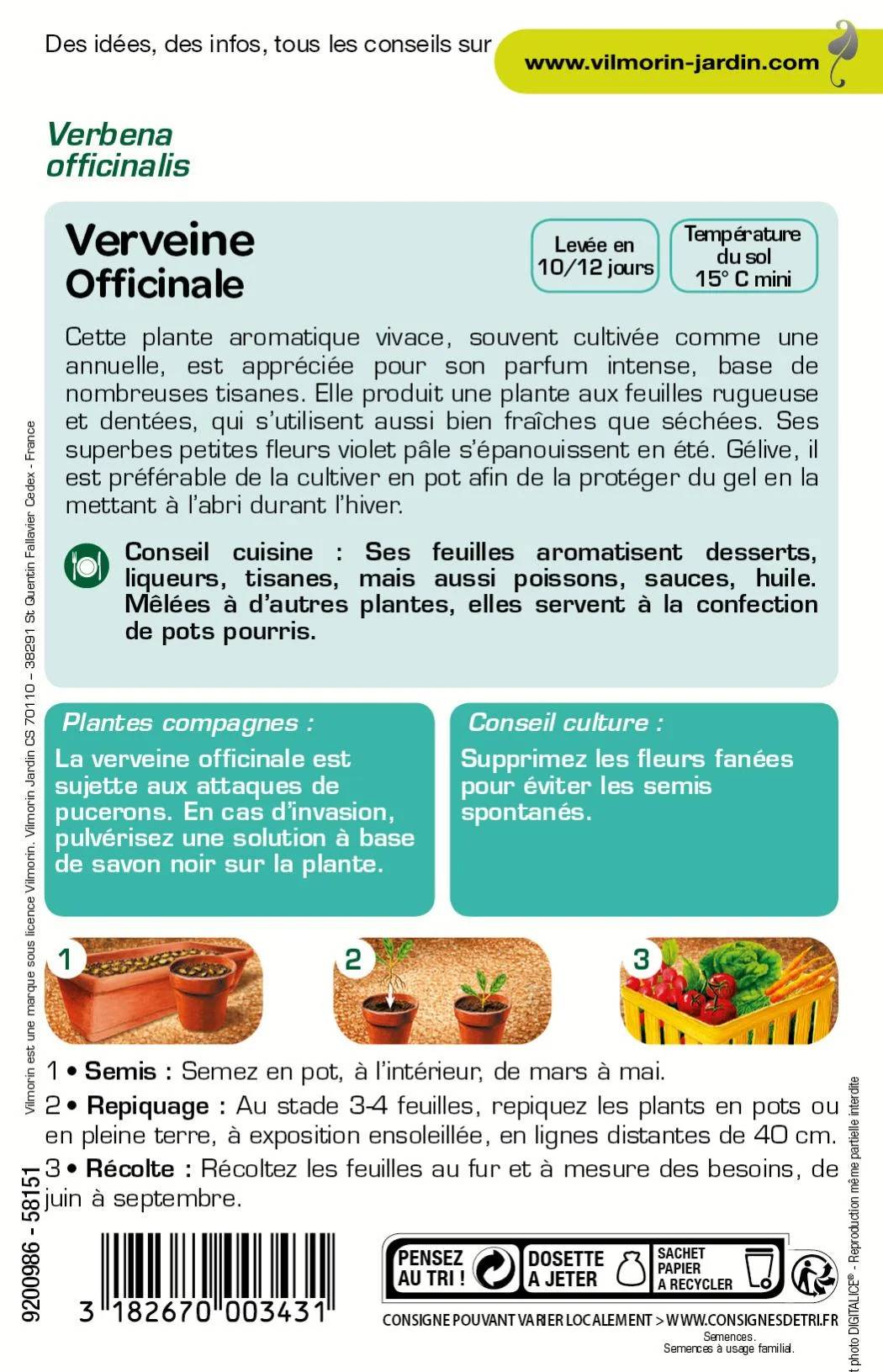 Vilmorin - Verveine officinale série 1 sachet graines 0,2 g - Vilmorin - Image 2