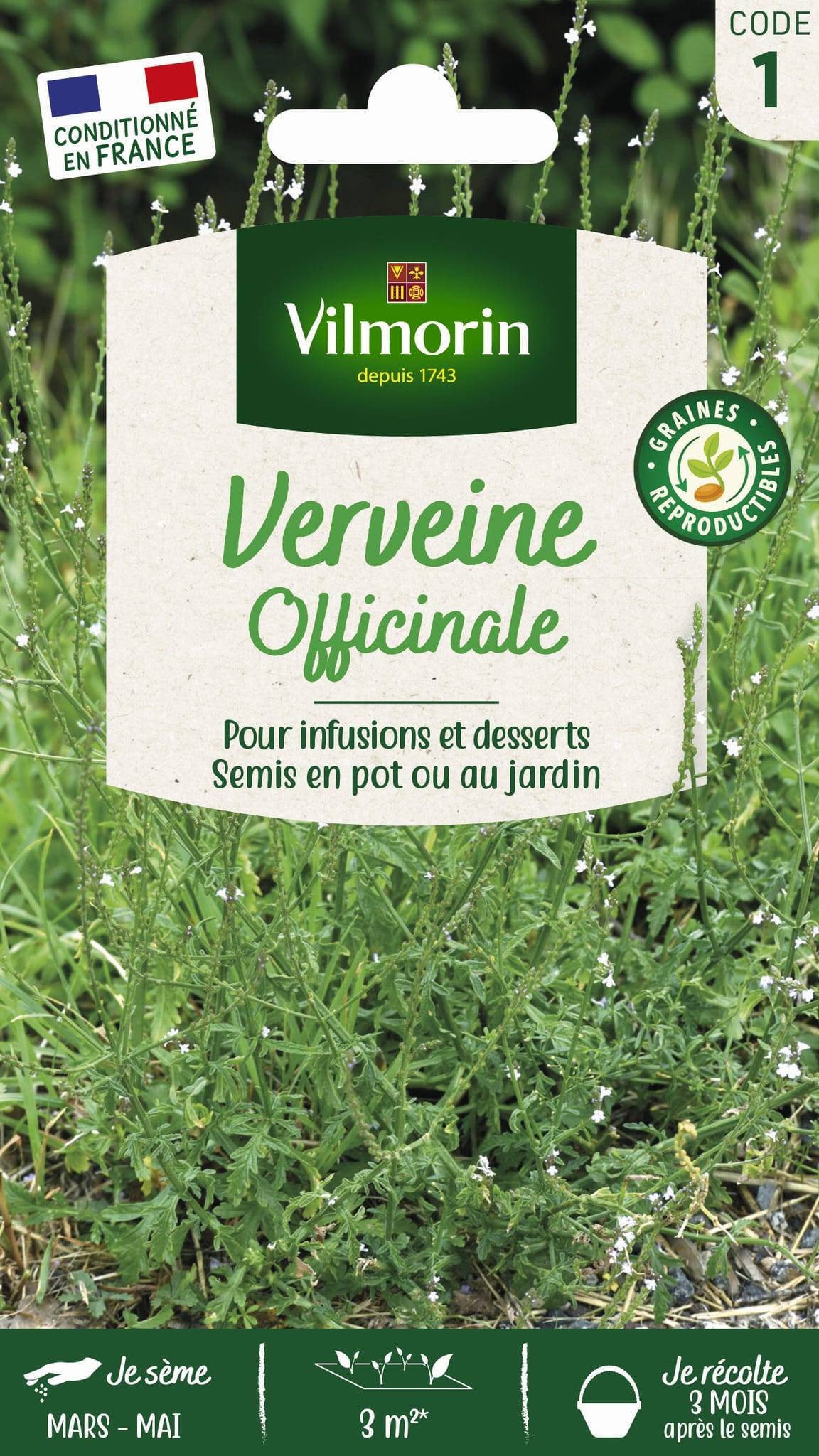 Vilmorin - Verveine officinale série 1 sachet graines 0,2 g - Vilmorin - Image 3