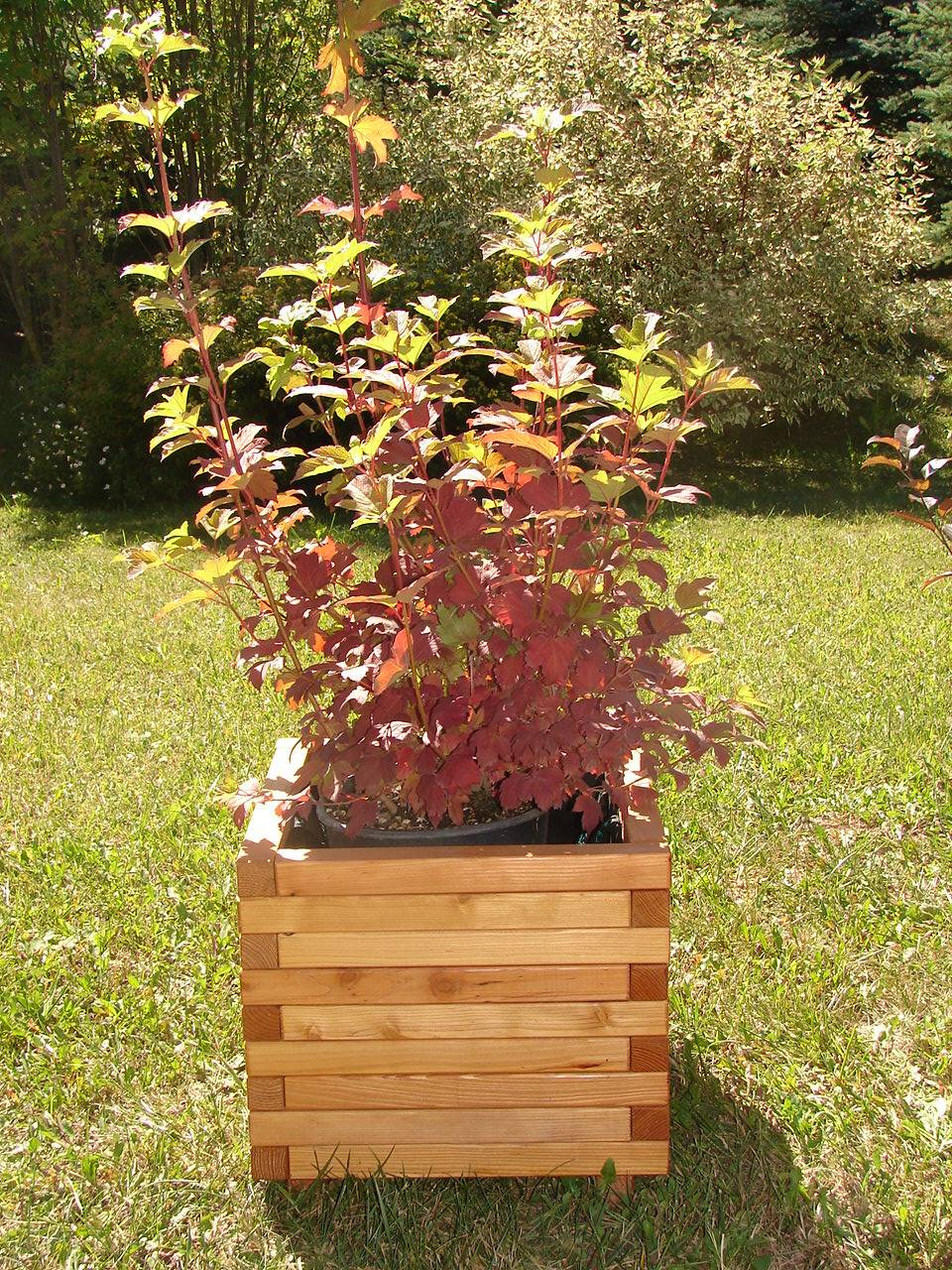 Robin Hood® - Bac Carré Mélèze Bois Naturel - ROBIN HOOD - Imagen 1