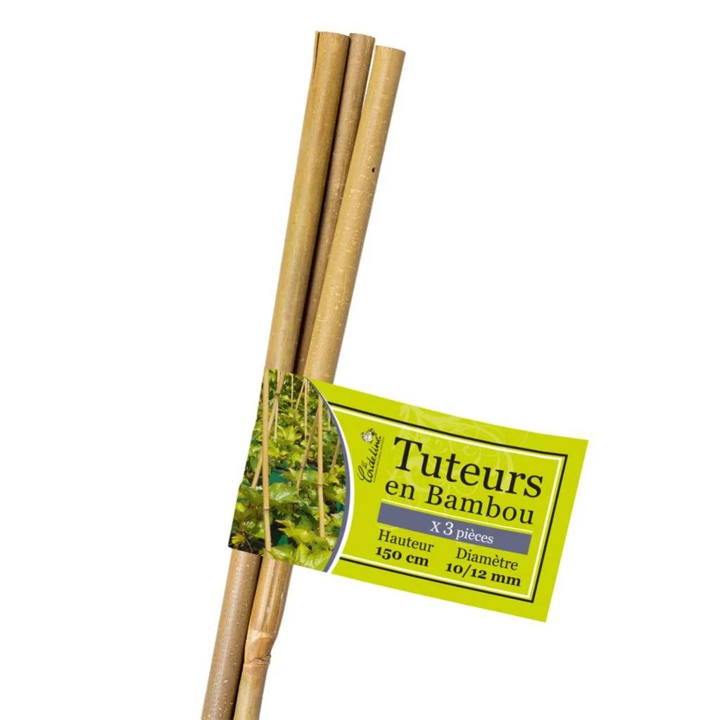 Lot de 3 tuteurs bambou droit et rond H 1,5 m – LA CORDELINE