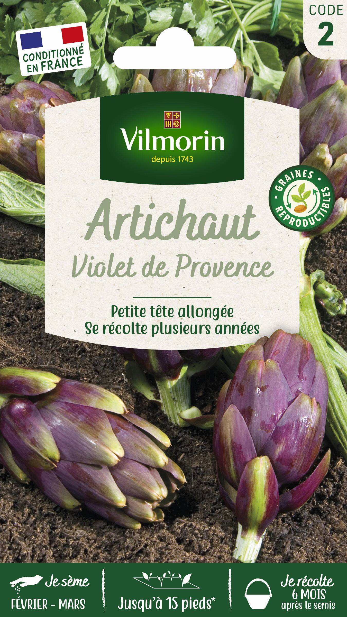 Vilmorin - Artichaut violet de Provence série 2 sachet graines 2 g - Vilmorin - Image 2