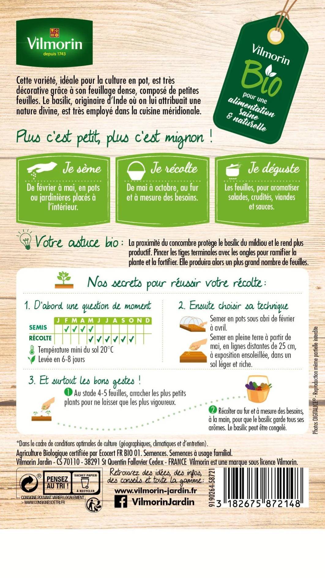 Vilmorin - Basilic Fin Vert Bio serie 2 sachet graines 1 g - Vilmorin - Image 3