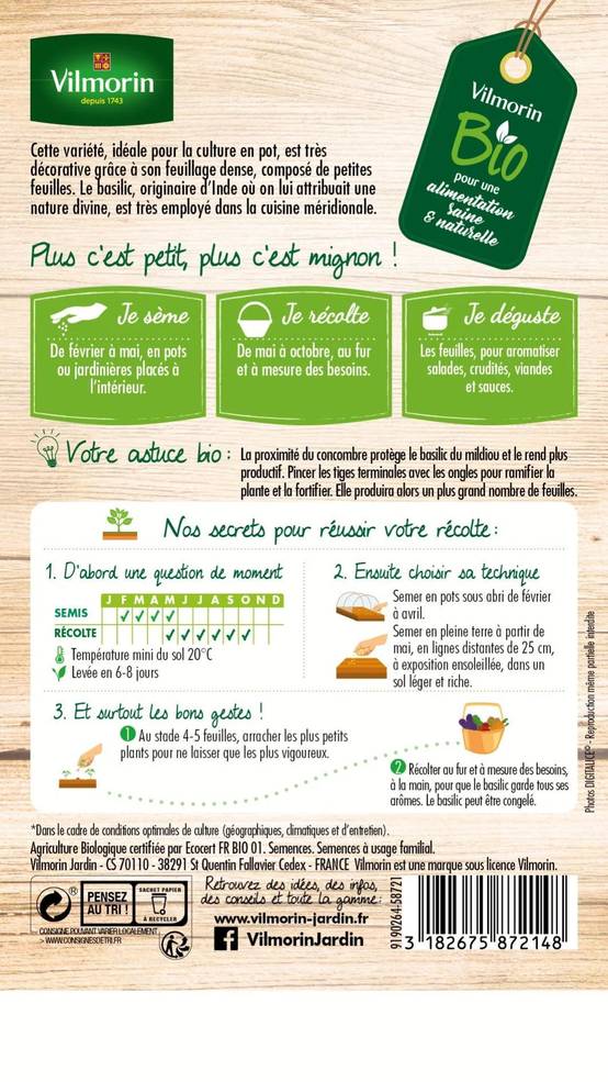 Vilmorin - Basilic Fin Vert Bio serie 2 sachet graines 1 g - Vilmorin - Image 2