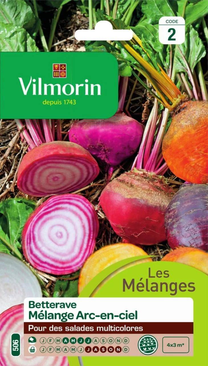 Vilmorin - Betterave Potagère Arc-en-Ciel serie 2 sachet graines 5 g - Vilmorin - Image 1