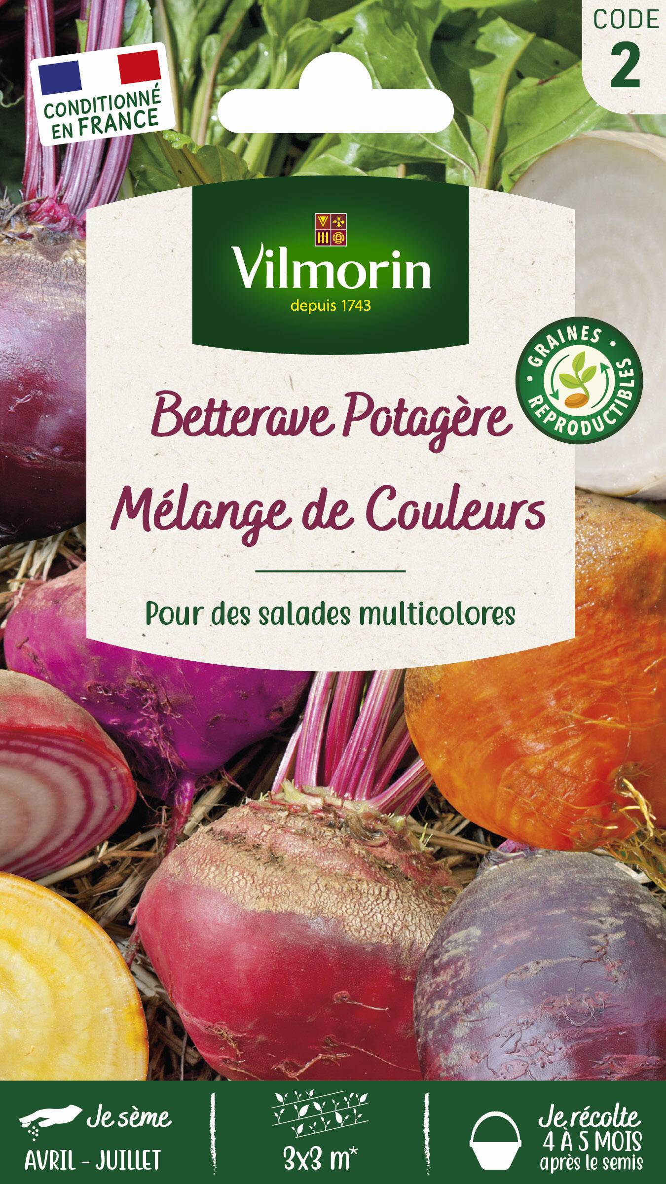 Vilmorin - Betterave Potagère Arc-en-Ciel serie 2 sachet graines 5 g - Vilmorin - Image 2