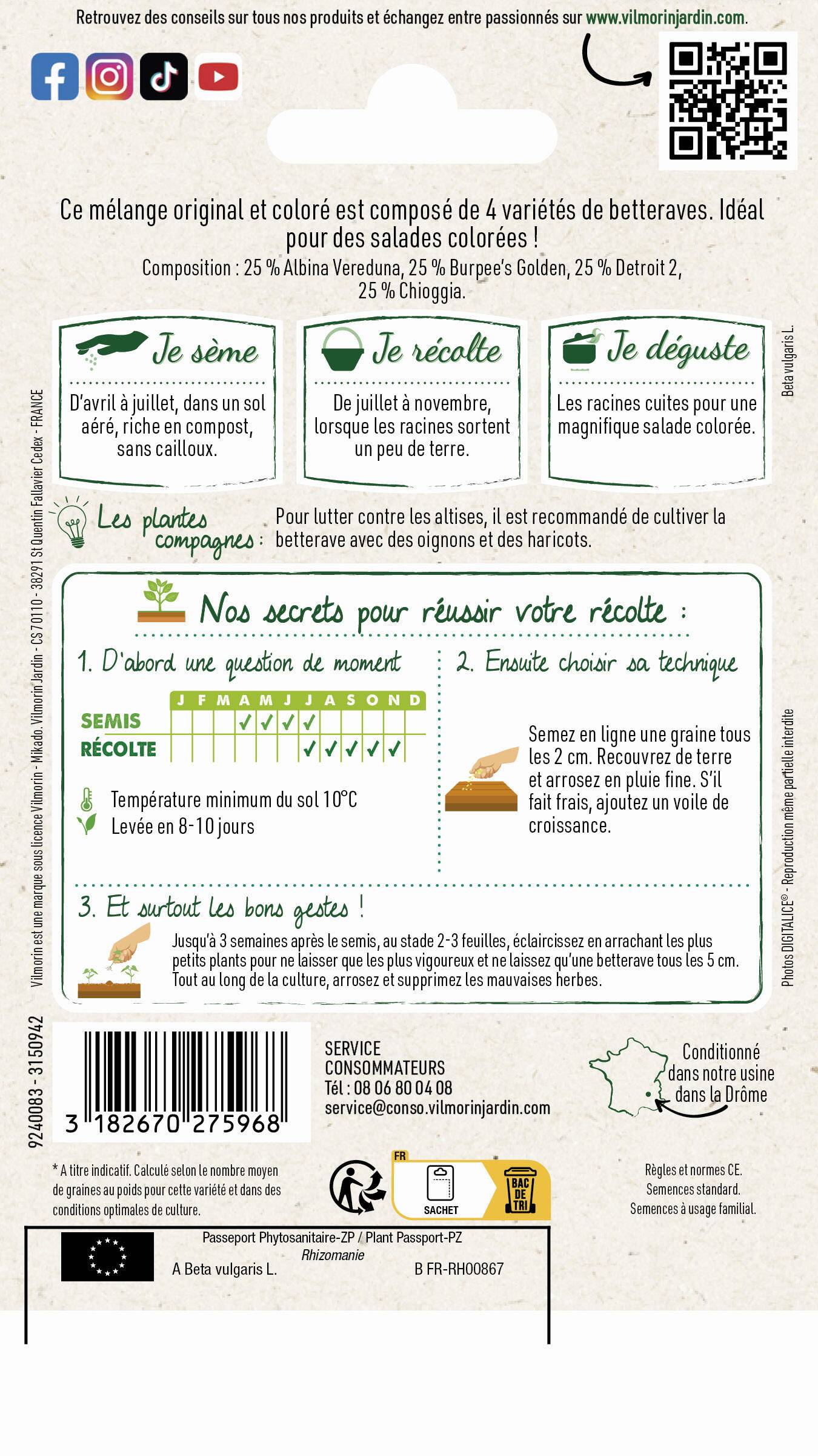 Vilmorin - Betterave Potagère Arc-en-Ciel serie 2 sachet graines 5 g - Vilmorin - Image 3