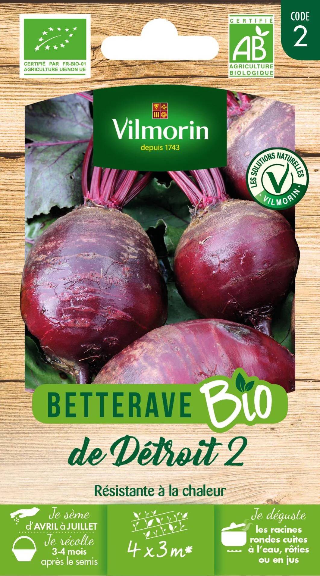Vilmorin - Betterave potagère de Détroit 2 Bio série 2 sachet graines 5 g - Vilmorin - Image 2