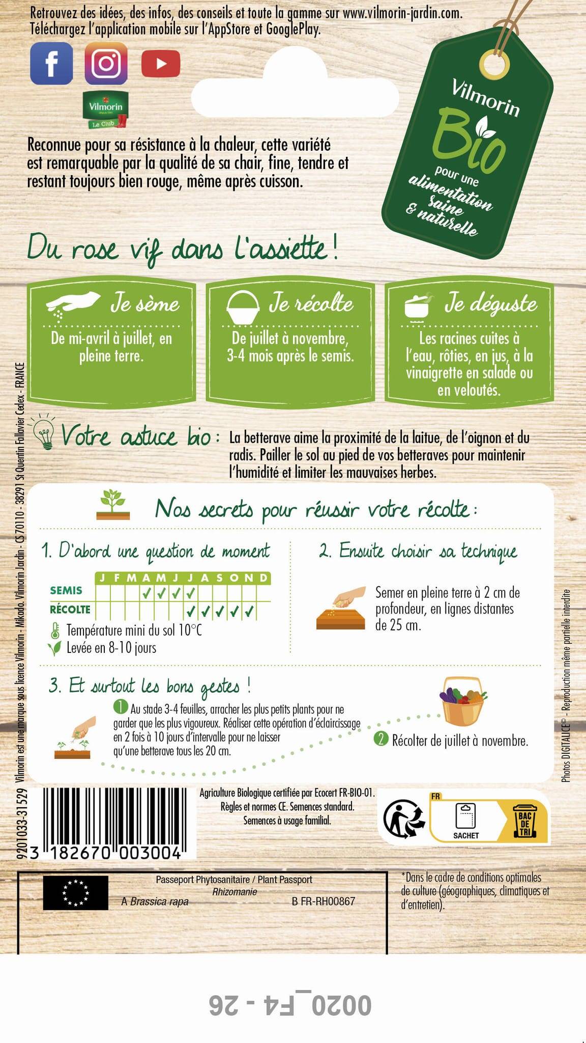 Vilmorin - Betterave potagère de Détroit 2 Bio série 2 sachet graines 5 g - Vilmorin - Image 4
