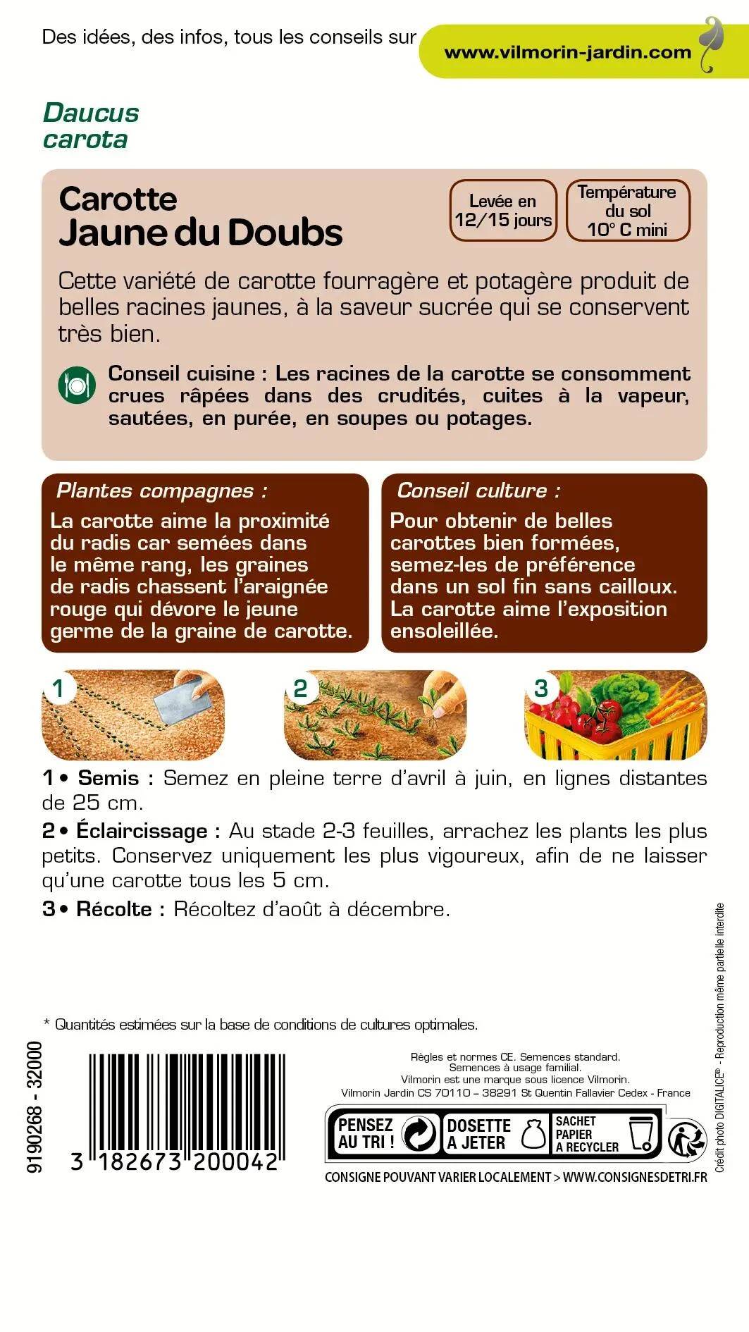 Vilmorin - Carotte Jaune Obtuse du Doubs serie 1 sachet graines 6 g - Vilmorin - Image 2
