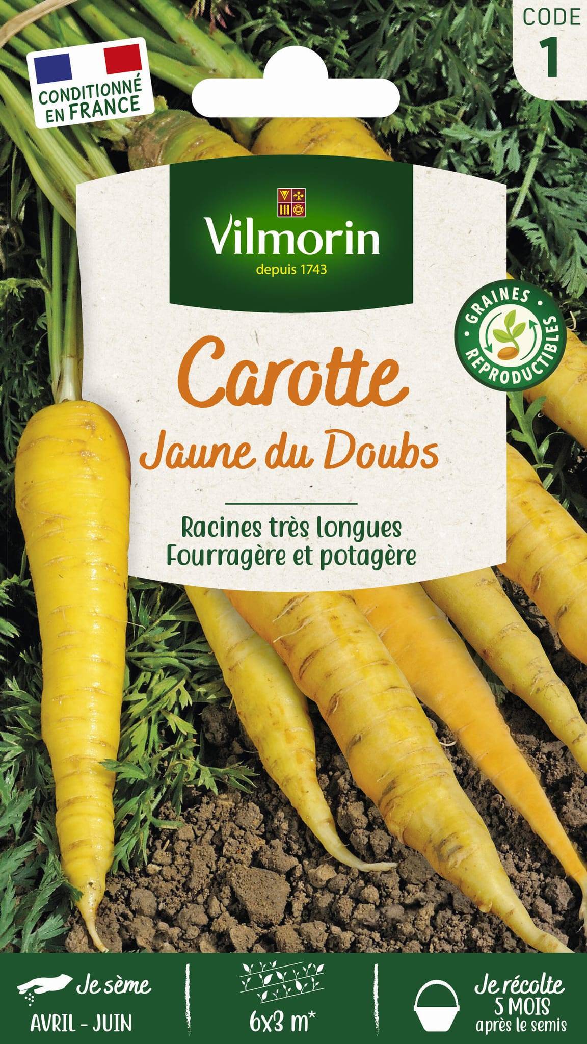 Vilmorin - Carotte Jaune Obtuse du Doubs serie 1 sachet graines 6 g - Vilmorin - Image 3