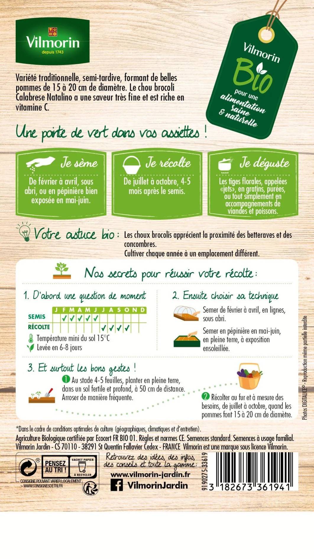 Graine potagère chou calabrese natalino bio 1 g - Vilmorin - Image 3