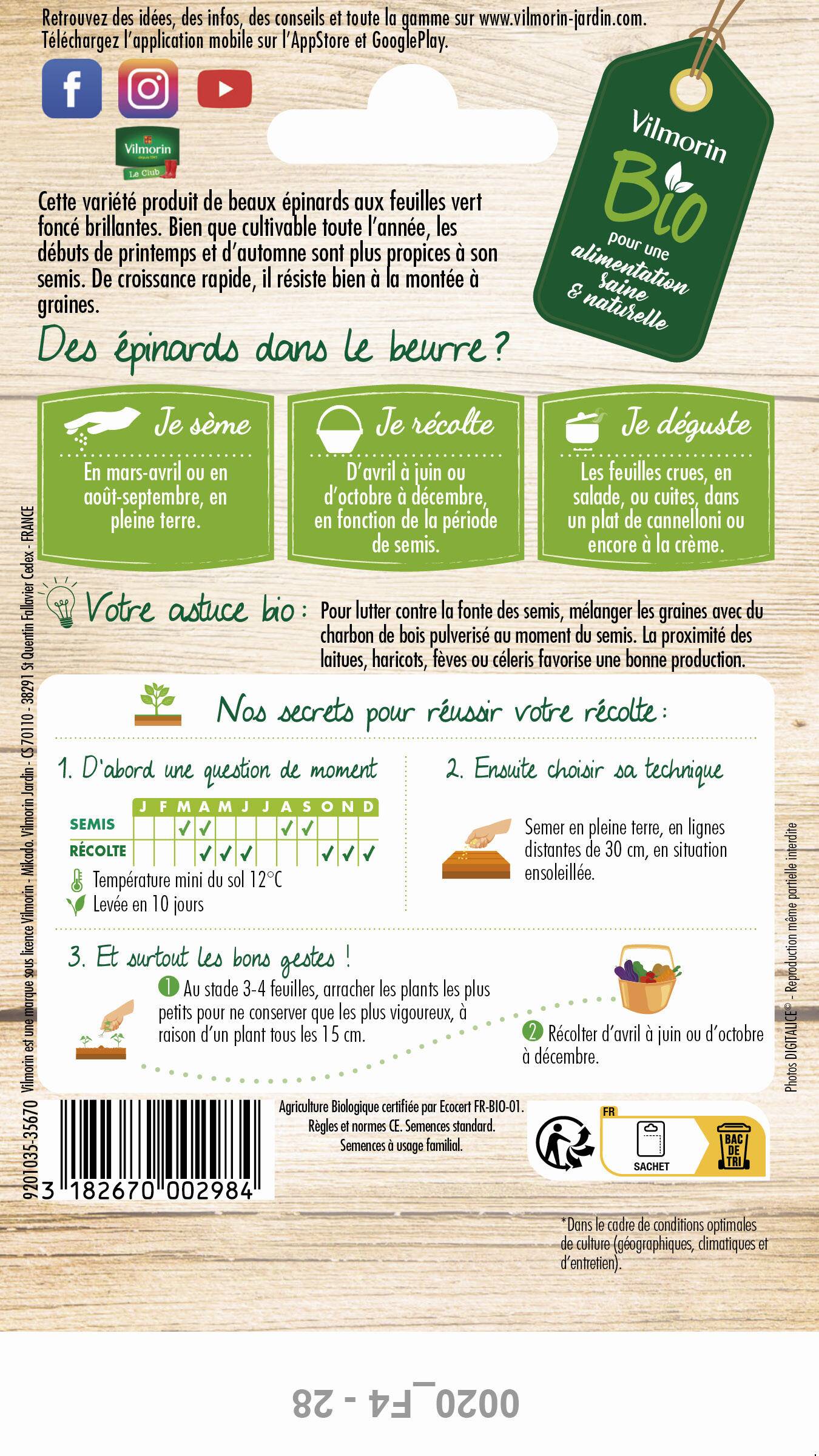 Vilmorin - Epinard butterflay Bio série 2 sachet graines 10 g - Vilmorin - Image 4
