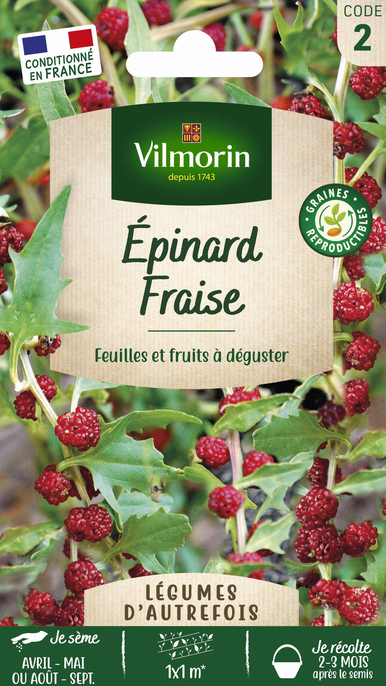 Epinard Fraise Sachet Graines Chenopodium capitatum - Vilmorin - Image 1