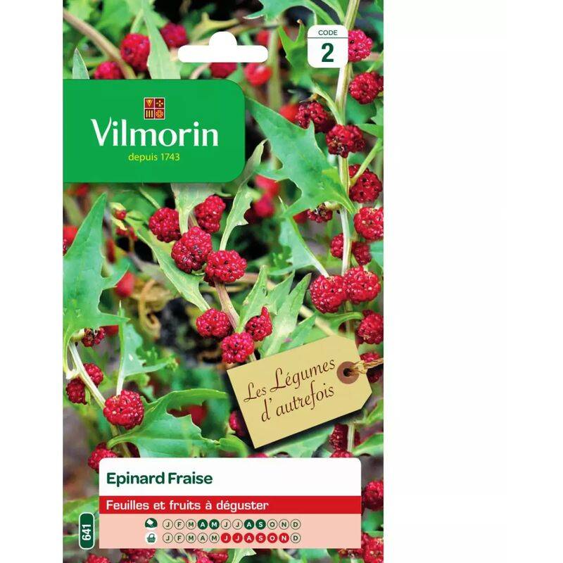 Epinard Fraise Sachet Graines Chenopodium capitatum - VILMORIN