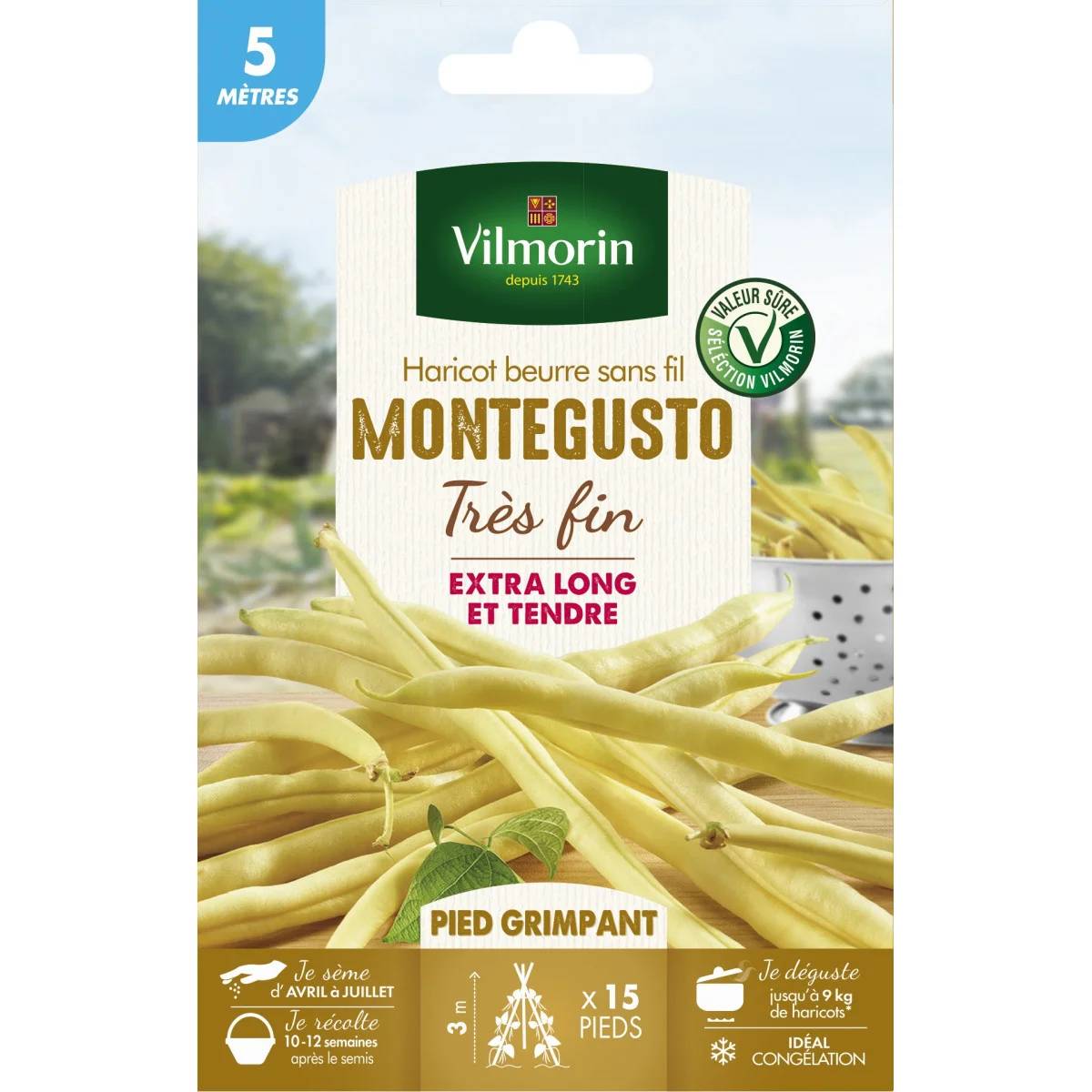 Vilmorin - Haricot Grimpant Beurre Monte Gusto serie 5M sachet graines 21 g - Vilmorin - Image 1