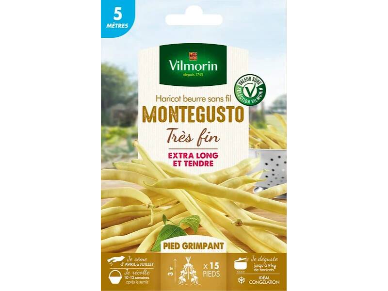 Vilmorin - Haricot Grimpant Beurre Monte Gusto serie 5M sachet graines 21 g - Vilmorin - Image 2