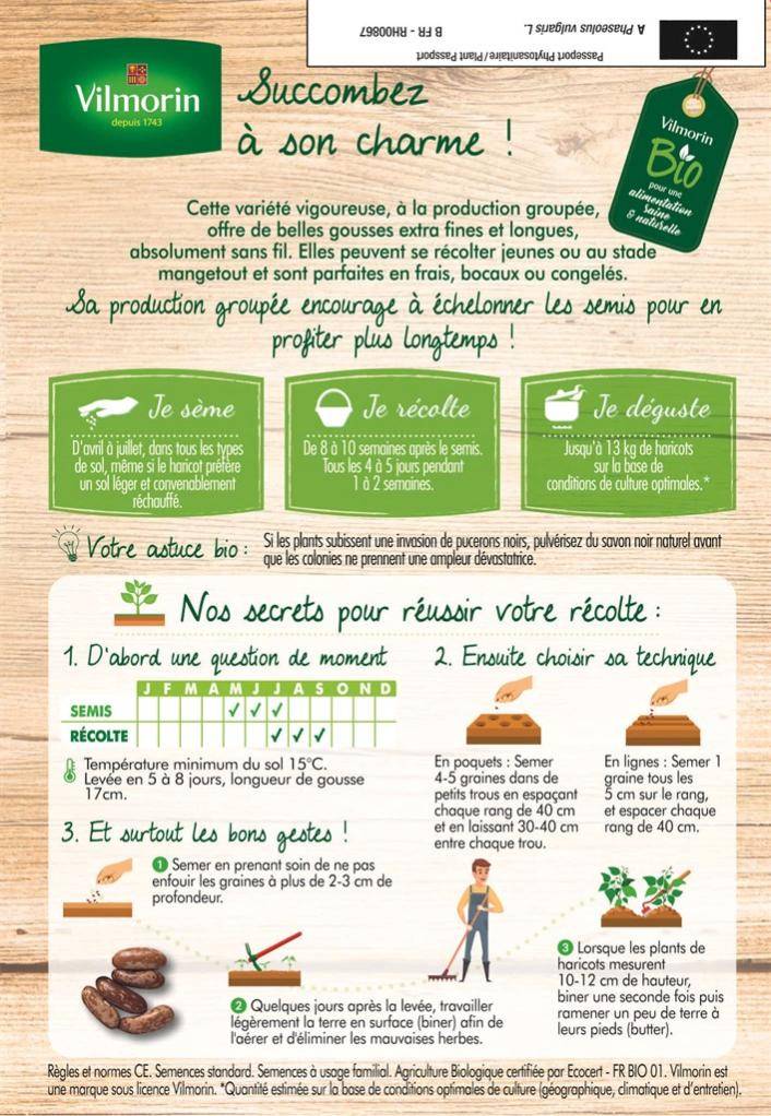 Vilmorin - Haricot nain vert sans fil Cupidon Bio série 20m sachet graines 130 g - Vilmorin - Image 2