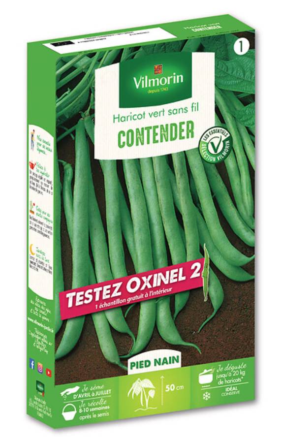 Vilmorin - Haricot Contender avec échantillon Oxinel 2 série 1 sachet graines 250 g - Vilmorin - Image 2
