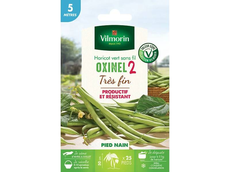 Vilmorin - Haricot nain vert sans fil Oxinel 2 série 5m sachet graines 35 g - Vilmorin - Image 2