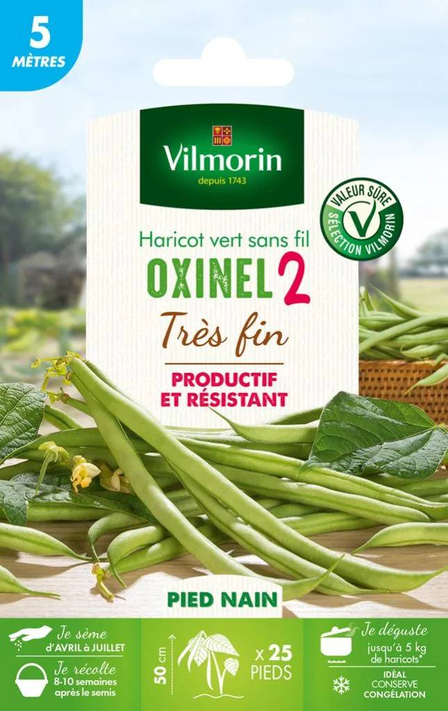 Vilmorin - Haricot nain vert sans fil Oxinel 2 série 5m sachet graines 35 g - Vilmorin - Image 3