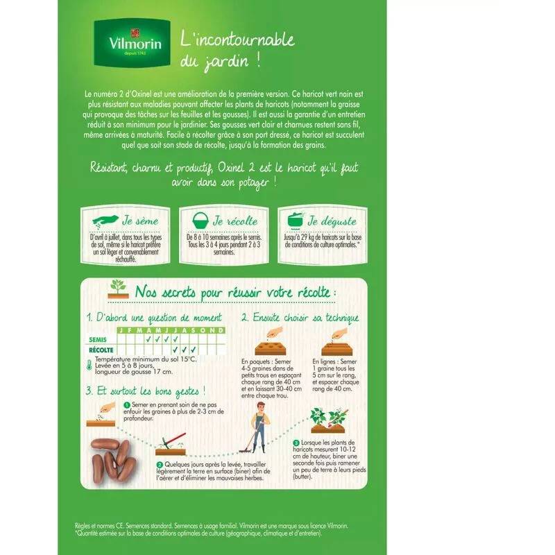 Vilmorin - Haricot Nain Vert Oxinel 2 + 20g Gratuit serie 3 boîte graines 220 g - Vilmorin - Image 3