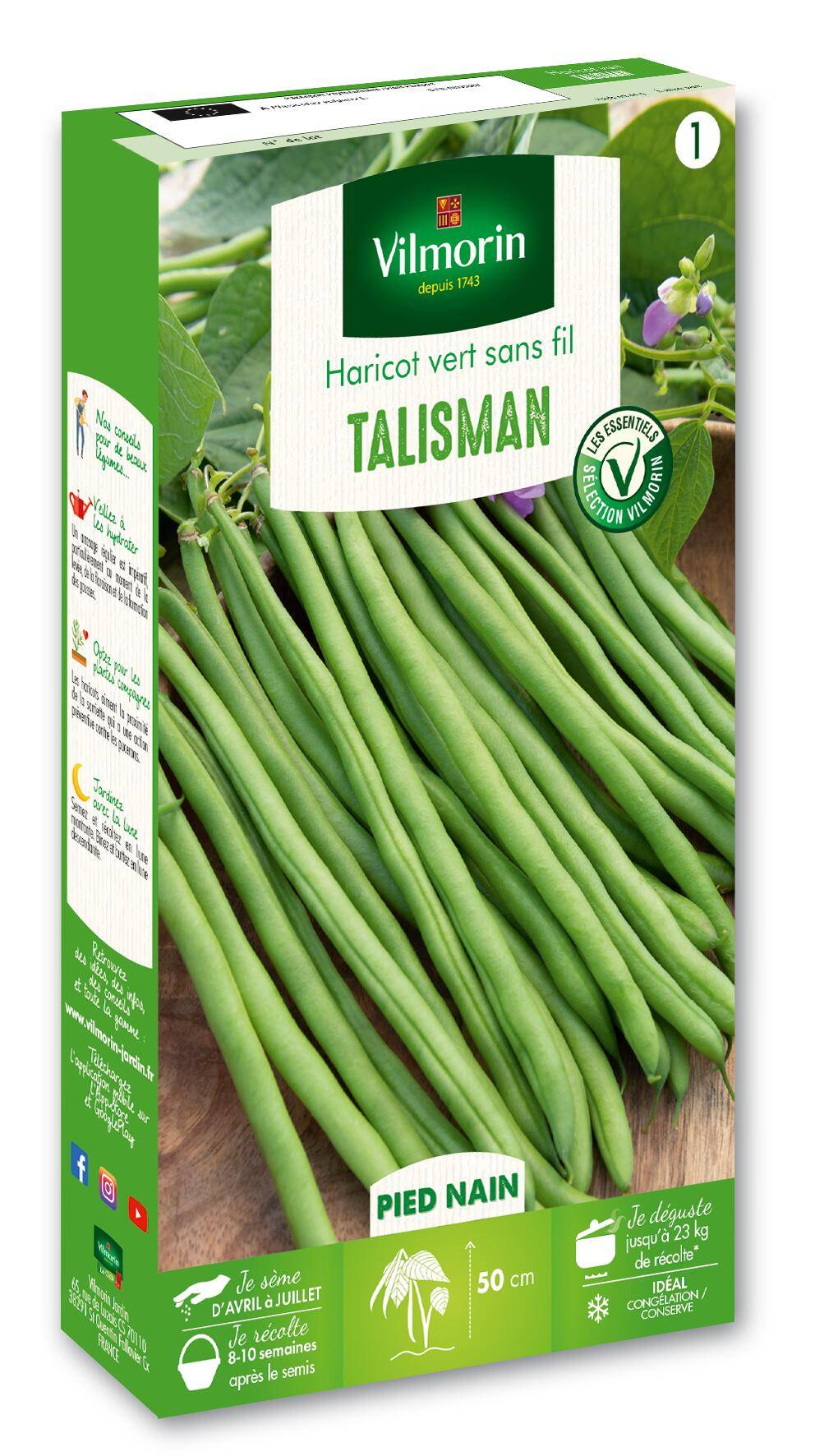 Vilmorin - Haricot Talisman série 1 sachet graines 140 g - Vilmorin - Image 1