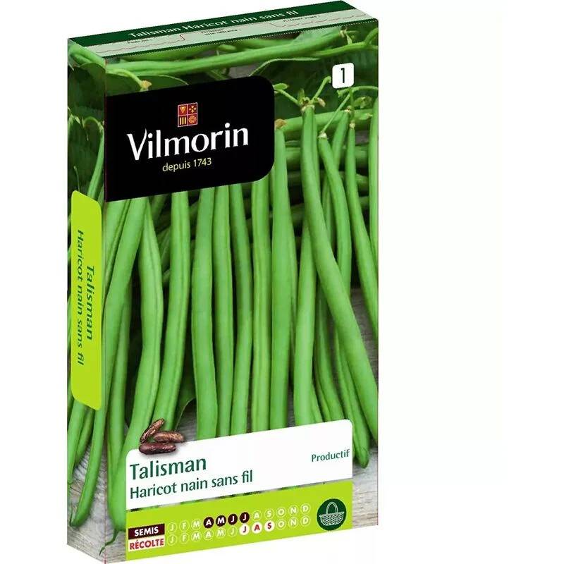 Vilmorin - Haricot Talisman série 1 sachet graines 140 g - Vilmorin