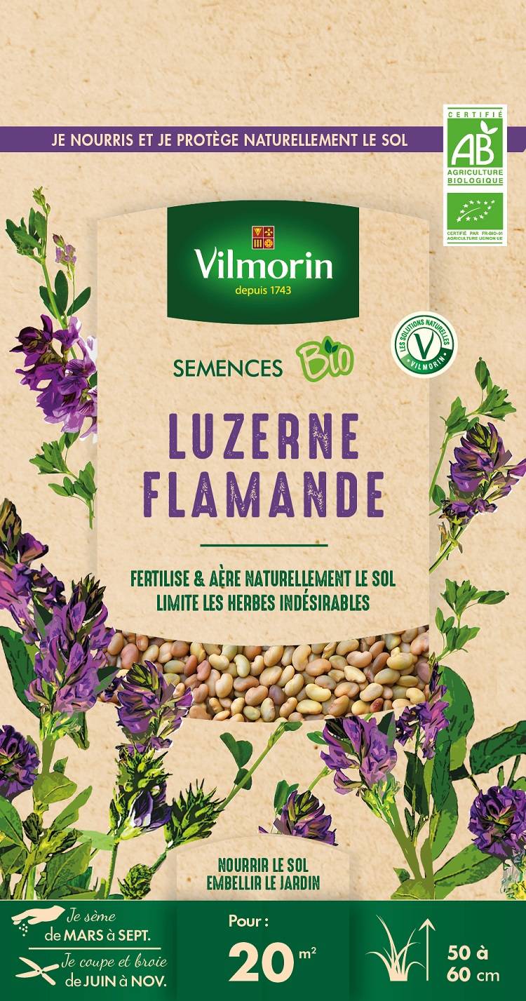 Vilmorin - Luzerne flamande BIO - VILMORIN - Image 4