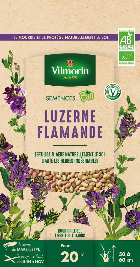 Vilmorin - Luzerne flamande BIO - VILMORIN - Image 3