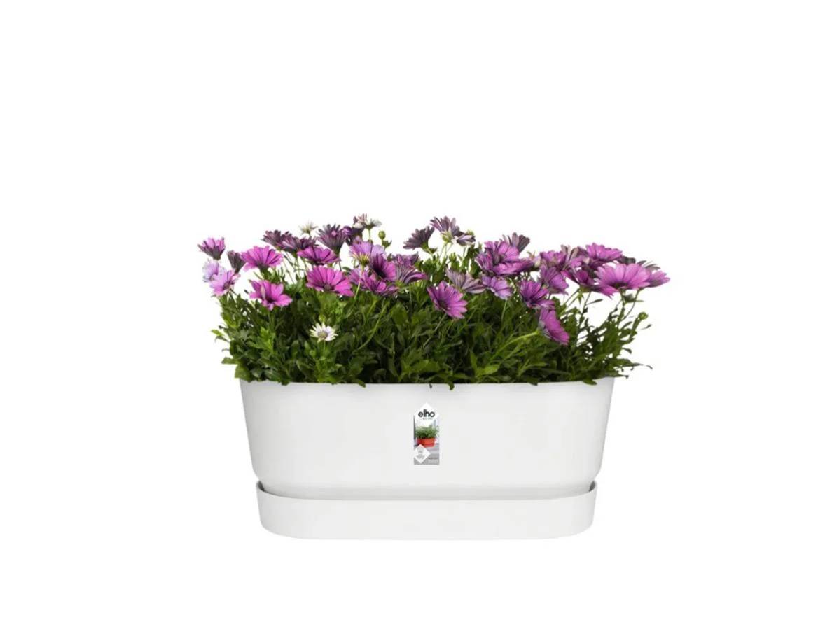 Jardinière ovale polypropylène blanc 60 x 26 x 24,4 cm - ELHO - Imagen 1