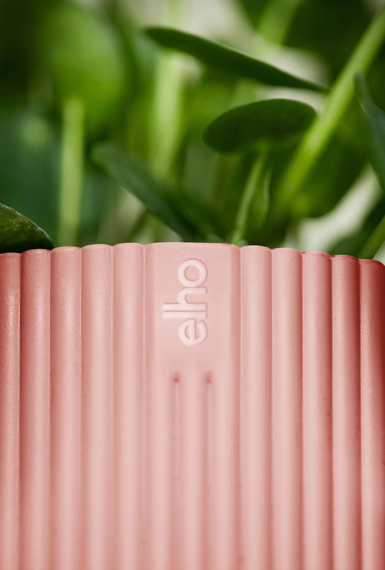 Elho - Cache-pot Polypropylène Rose – ELHO - Imagen 3