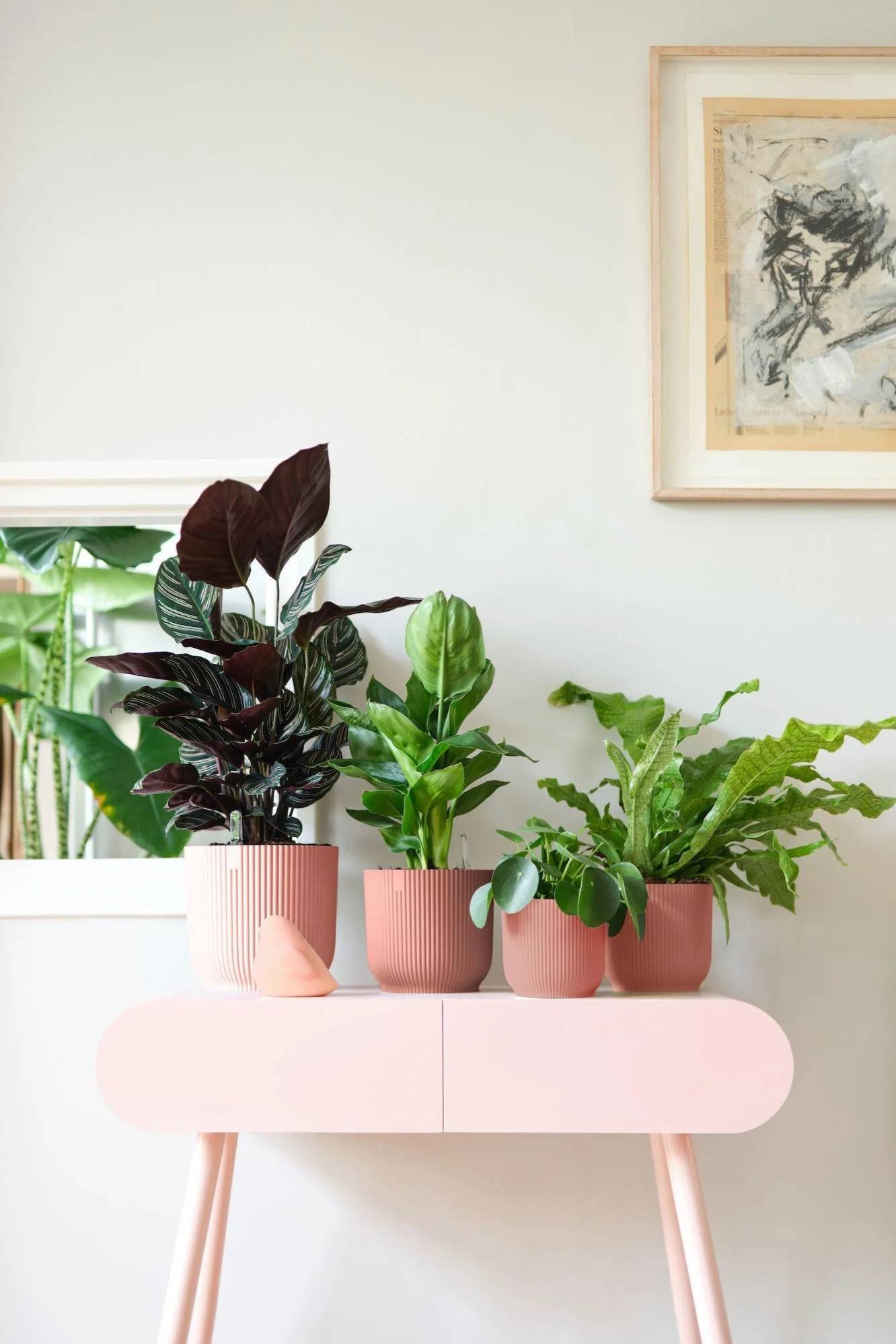 Elho - Cache-pot Polypropylène Rose – ELHO - Imagen 16