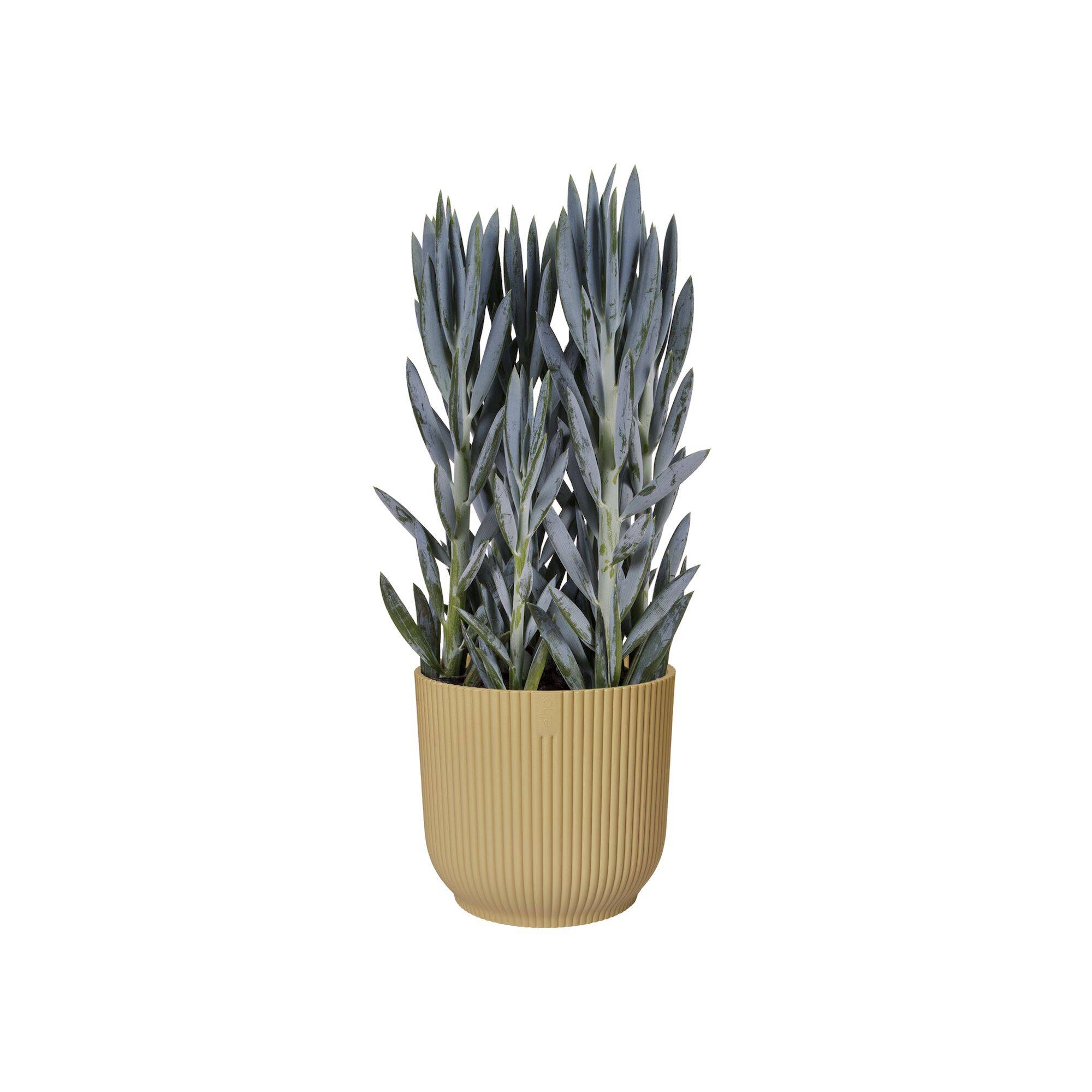 Elho - Elho - Pot Vibes Fold Rond Jaune Beurre Ø.18,34 x H.16,8 cm - Imagen 3