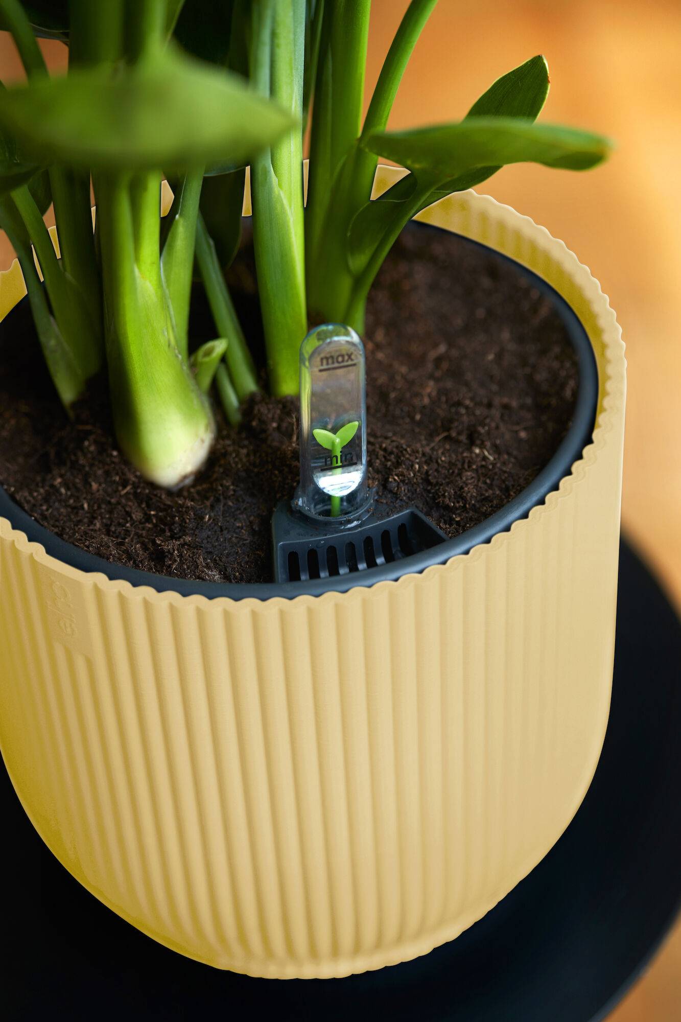 Elho - Elho - Pot Vibes Fold Rond Jaune Beurre Ø.18,34 x H.16,8 cm - Imagen 7