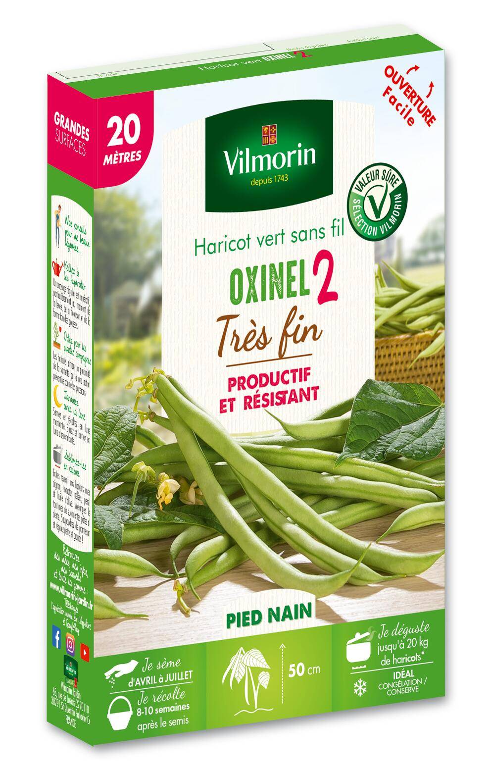 Vilmorin - Haricot Nain Vert Oxinel 2 serie 20M boîte graines 138 g - Vilmorin - Image 1