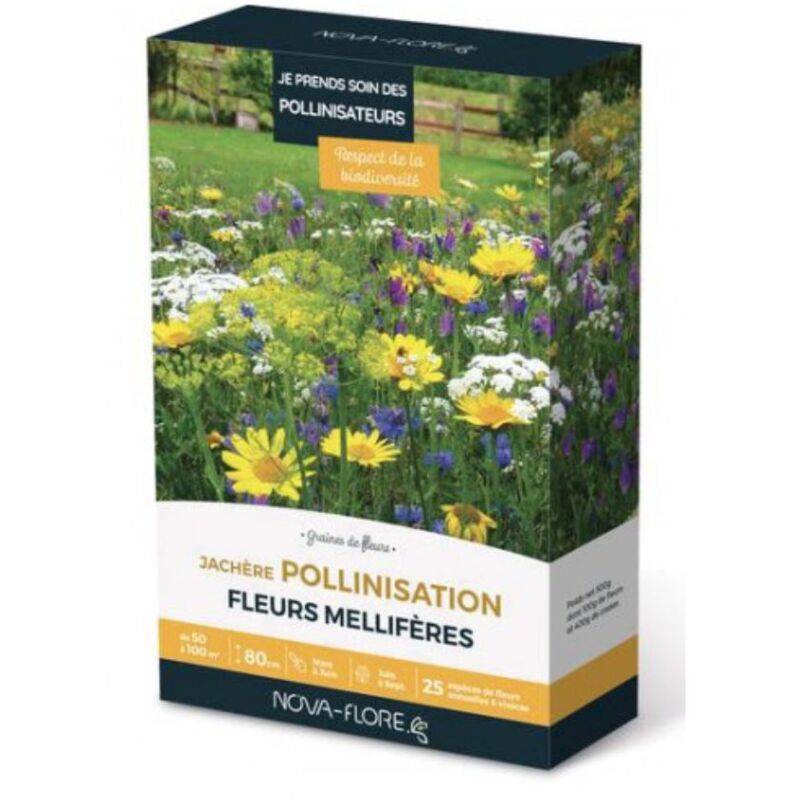 Nova flore - Mélange de fleurs mellifères spécial Pollinisation - Nova Flore - Image 2