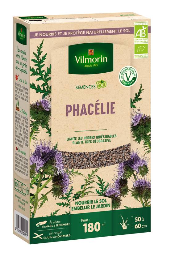 Graines de Phacélie Bio 375g – VILMORIN - Image 2