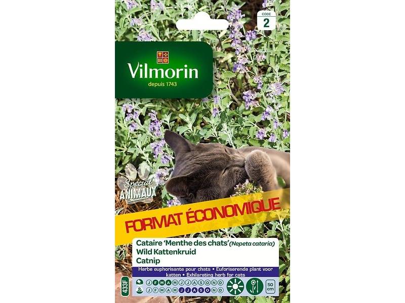 Vilmorin - Cataire menthe à chats grand modèle série 2 sachet graines 8 g - Vilmorin - Image 2