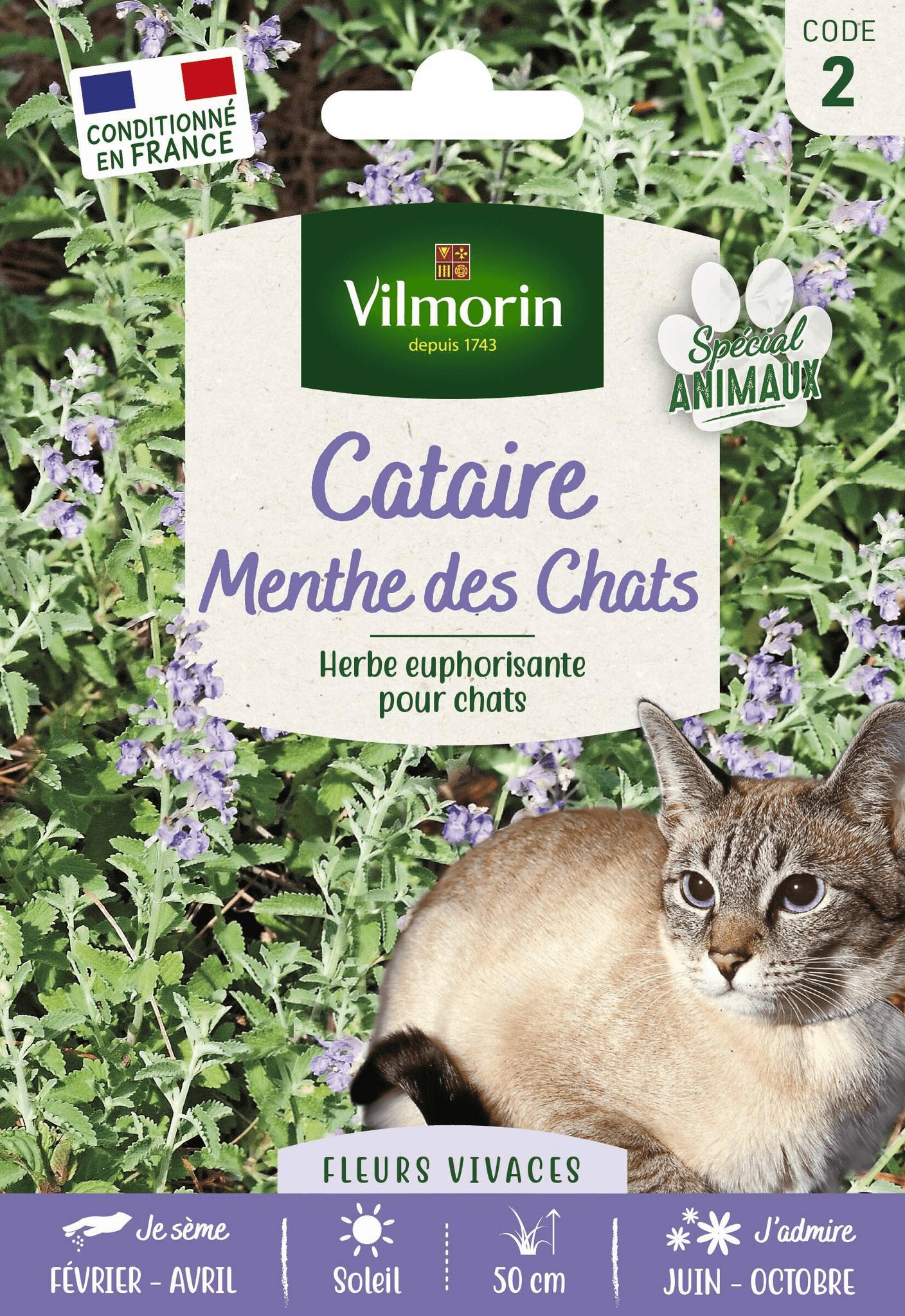 Vilmorin - Cataire menthe à chats grand modèle série 2 sachet graines 8 g - Vilmorin - Image 1