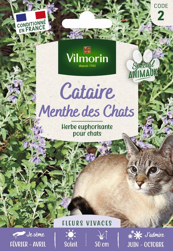Vilmorin - Cataire menthe à chats grand modèle série 2 sachet graines 8 g - Vilmorin - Image 3