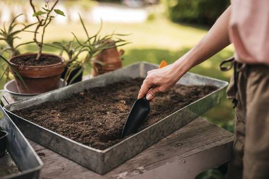 Plantoir à Graines – FISKARS - Image 7