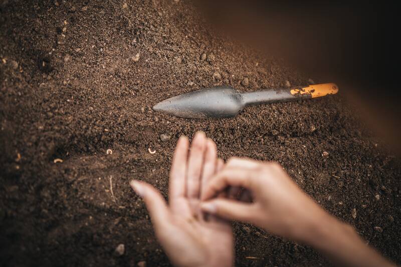 Plantoir à Graines – FISKARS - Image 5