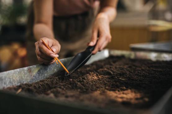 Plantoir à Graines – FISKARS - Image 10