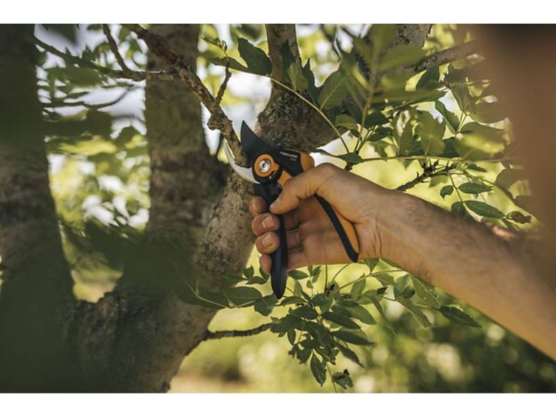 Fiskars - Sécateur à lame franche Plus™ (P541) - Fiskars - Image 10