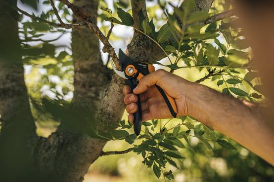 Fiskars - Sécateur à lame franche Plus™ (P541) - Fiskars - Image 4